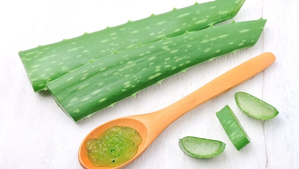Use Aloe Vera Gel to Naturally Lighten & Improve Skin Tone