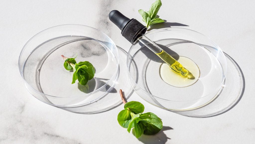 Ingredient Spotlight: Kojic Acid – A Natural Alternative to Laser Treatment for Dark Spots