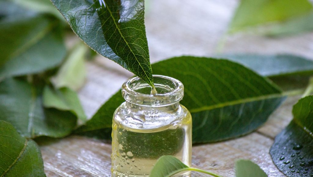 Targeting Acne-Prone Areas with Salicylic Acid & Tea Tree Oils