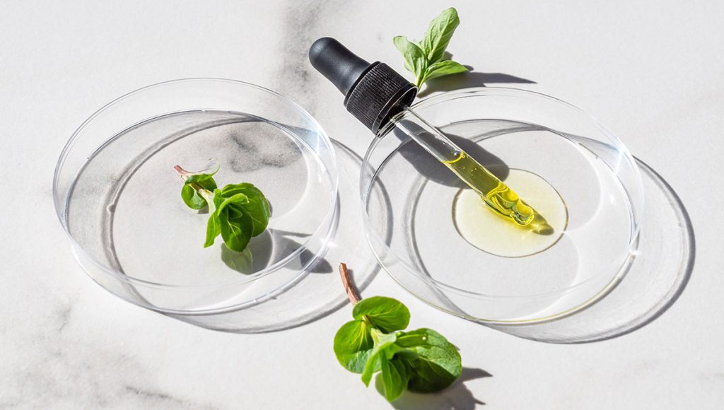 Tea Tree Oil as a Clarifying Carrier Option