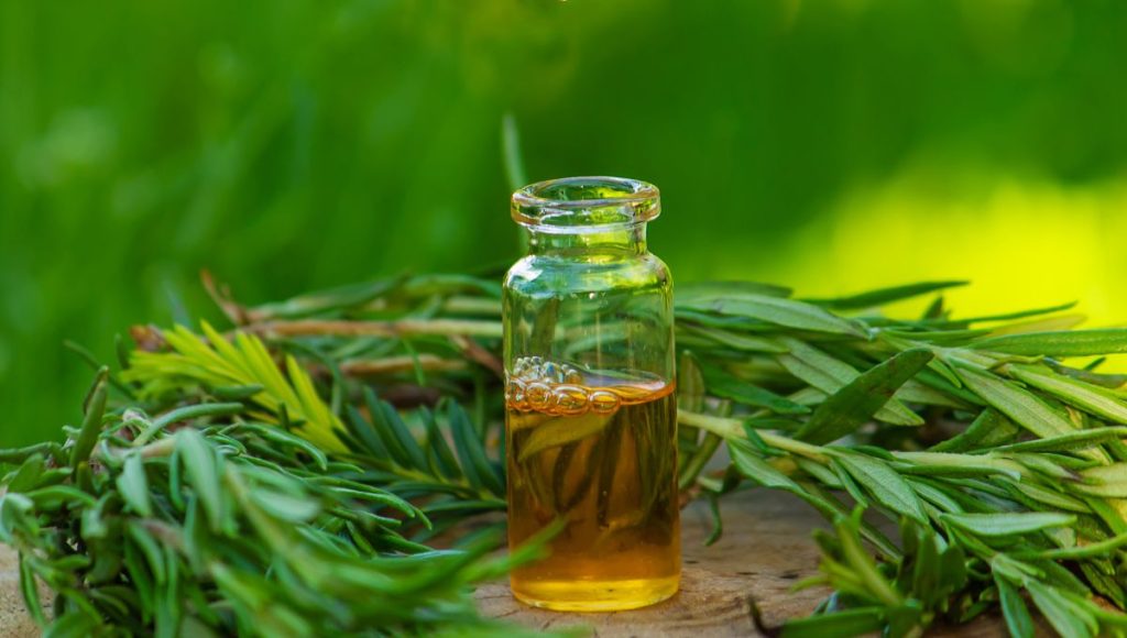 Tea Tree Oil as a Natural Solution for Acne Scars and Dark Spots