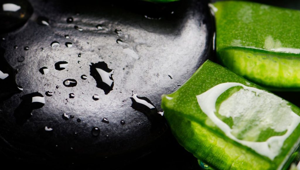 Aloe Facial Cleansing Foam and Activated Charcoal: A Detoxifying Duo