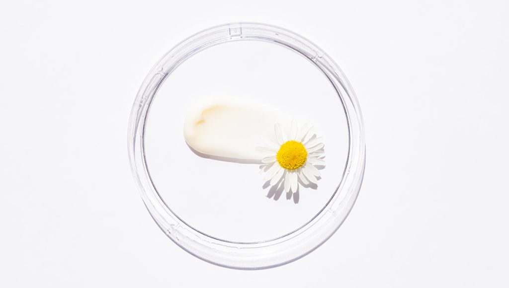 Ingredient Spotlight: Kojic Acid