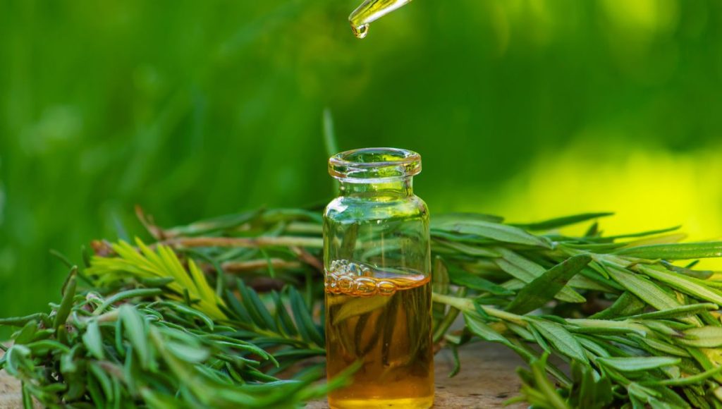 The Role of Tea Tree Oil and Salicylic Acid in Acne Scar Lightening